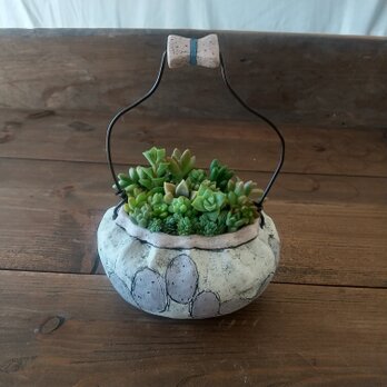 バスケット型植木鉢（紫）の画像