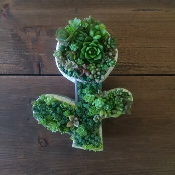 花形の植木鉢の画像