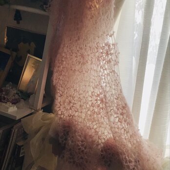 桜姫の羽衣の画像