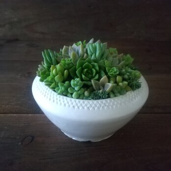 白い植木鉢の画像