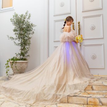 実例写真！人気上昇！カラードレス シャンパン色 オフショルダー キラキラグリッターチュール 編み上げ 前撮りの画像