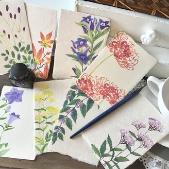 【受注生産】型染手漉き和紙絵はがき　秋の草花　8種セットの画像