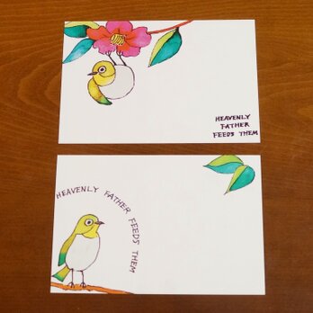 野鳥ポストカードセット②の画像