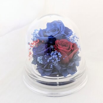 プリザーブドフラワー赤と青薔薇のミニドーム／手のひらサイズの画像