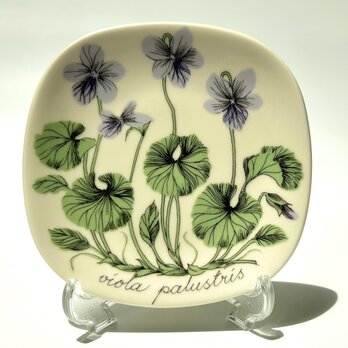 ARABIA エステリトムラ Botanica viola palustris ビオラ・パルストリスの画像
