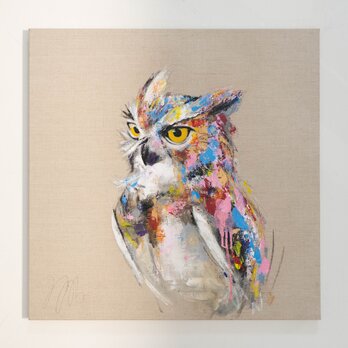 owl / フクロウの画像