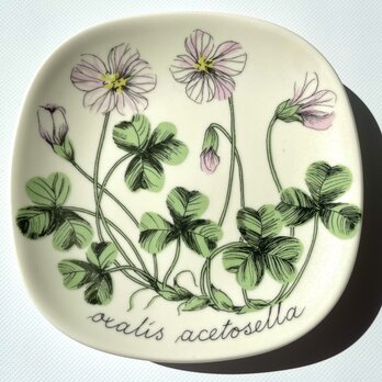 ARABIA エステリトムラ Botanica Oxalis acetosella コミヤマカタバミの画像