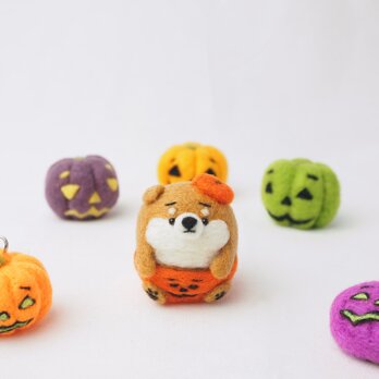 【受注製作】-ハロウィンコスプレ- まゆ柴犬の赤ちゃん(赤柴・黒柴・白柴)　羊毛フェルト