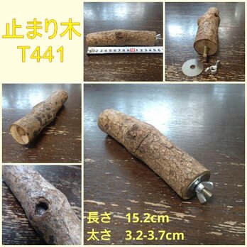 止まり木（枝：TOY-08-015）T441の画像
