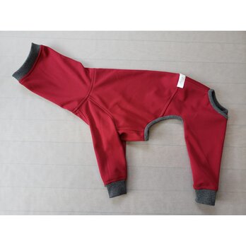 犬服　【受注制作品】ウィペット用フルスーツの画像