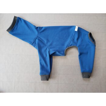 犬服　【受注制作品】ウィペット用フルスーツの画像