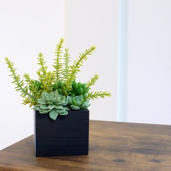 机の上のガーデニング　癒しの多肉植物たっぷり　スクエアアレンジ　フェイクグリーンの画像