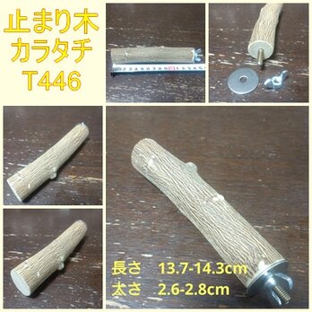止まり木（カラタチ：TOY-08-015）T446の画像