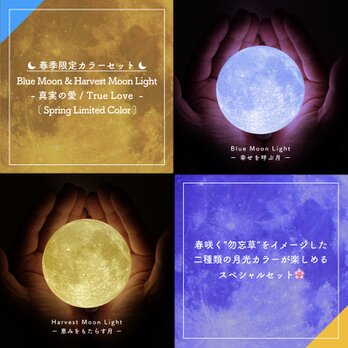 【New!】Blue Moon & Harvest Moon Light (Limited Color)｜月ライト(小)の画像