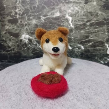 お腹すいたよー　可愛いわんちゃん　　羊毛の画像