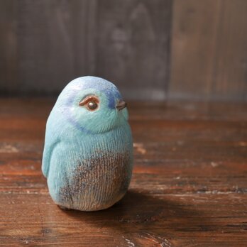 青色のペンギン no.14の画像