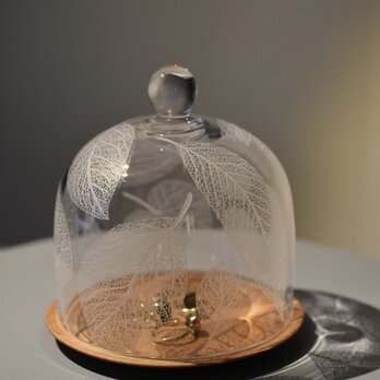 Botanico glass dome Msize(木の葉)の画像