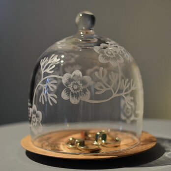 Botanico glass dome Msize(アネモネ)の画像