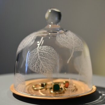 Botanico glass dome Msize(ナンキンハゼ)の画像