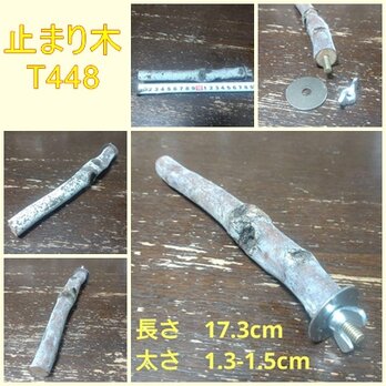 止まり木（枝：TOY-08-015）T448の画像