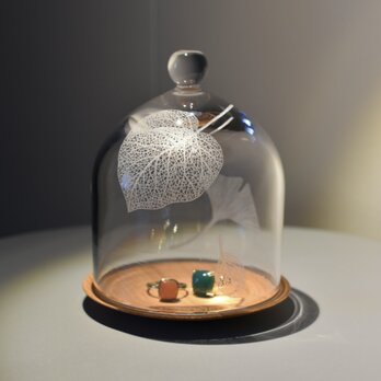 Botanico glass dome Ssize design A(ウンベラータ)の画像