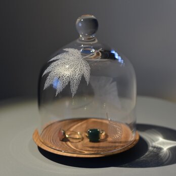Botanico glass dome Ssize design B(イロハモミジ)の画像