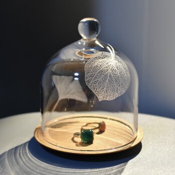 Botanico glass dome Ssize design C(ヤマボウシ)の画像