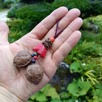 山葡萄の蔓と山珊瑚と胡桃2連のチャーム20240707-Wの画像