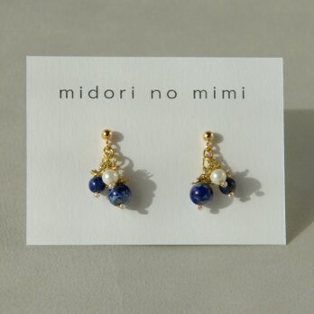 青い実の耳飾り　miniピアスの画像