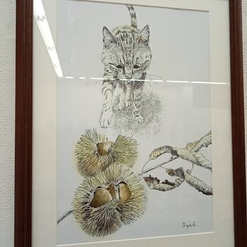 ワイド四つ切りサイズ★ペン画　複製版画　『栗』猫の画像