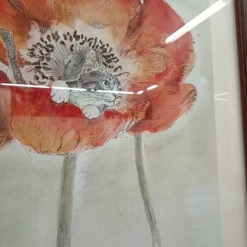 ワイド四つ切りサイズ★ペン画　複製版画　『赤い花』　猫　ケシの画像