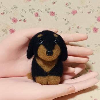 ミニチュアダックス　ブラック　耳短め可愛い子　　羊毛の画像
