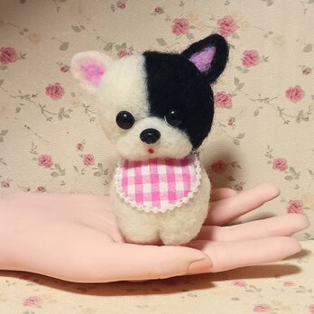 毛色半分違う可愛いワンちゃん　　羊毛の画像