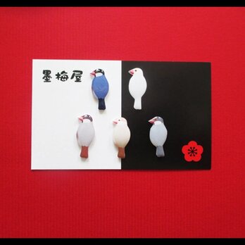 【選べるピンバッジミニ】文鳥4の画像