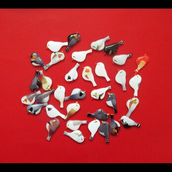 【選べるピンバッジミニ】キンカチョウの画像