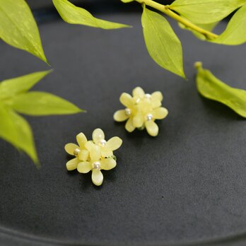 【ピアス】菜の花 パールの画像