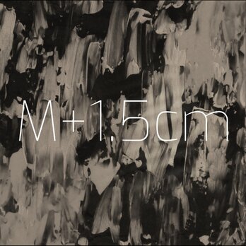 ＊オプション＊ M+1.5cmの画像