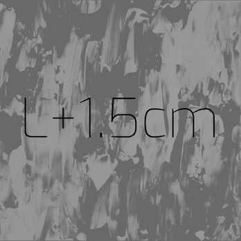 ＊オプション＊ L+1.5cmの画像