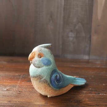 青色オカメインコ no.11の画像