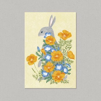 【Limited】Animal ポストカード ウサギ 2枚組の画像