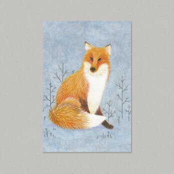 【Limited】Animal ポストカード キツネ 2枚組の画像