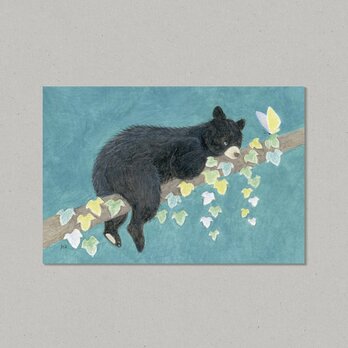 【Limited】Animal ポストカード コグマ 2枚組の画像