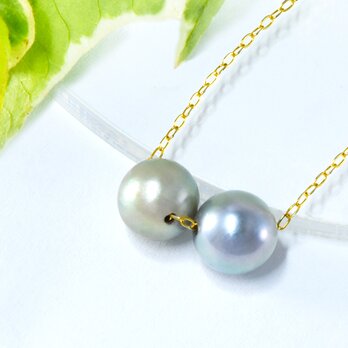 SV925 あこや真珠 黒蝶真珠 パール ネックレス 南洋パール シルバー CG049CIBS