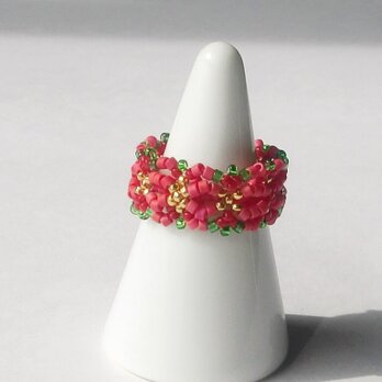 Grass wreath ring / ポインセチアの画像