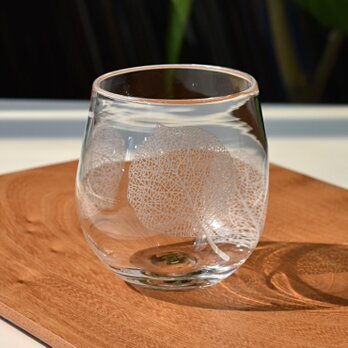 Botanico glass S size design A(ヤマボウシ)の画像