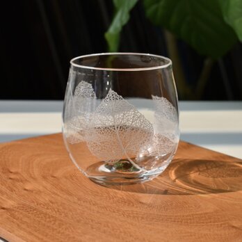 Botanico glass S size design B(シナノキ)の画像