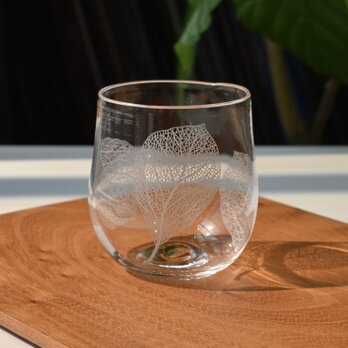 Botanico glass S size design E(モクレン)の画像