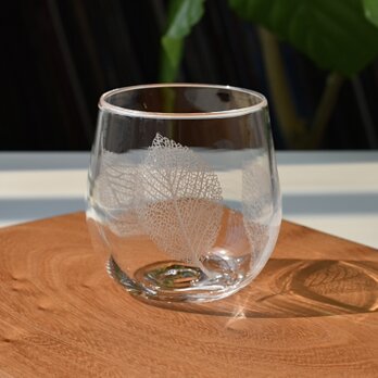 Botanico glass S size design F(コナラ)の画像