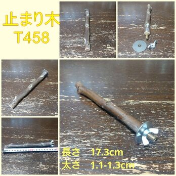 止まり木（枝：TOY-08-015）T458の画像