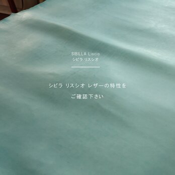 「シビラ リスシオ」革についての画像